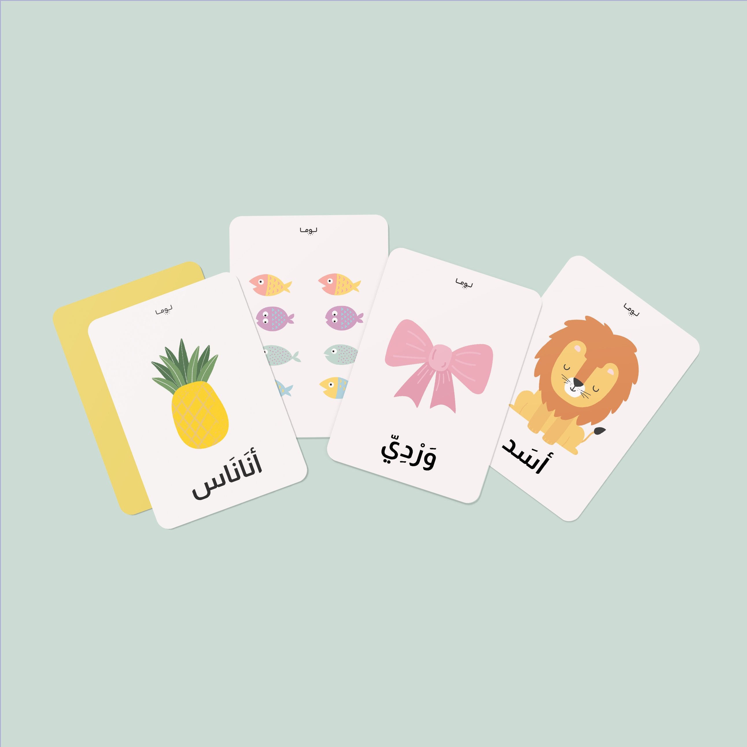 Luma Flash Cards Set: Arabic