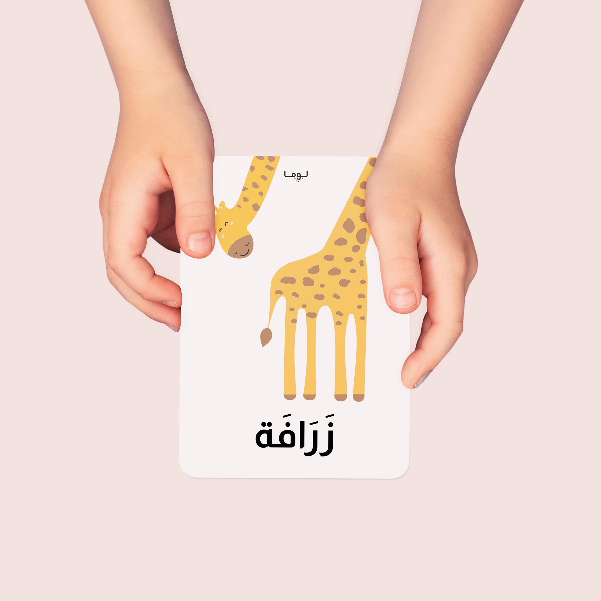 Luma Animals Flash Cards: Arabic